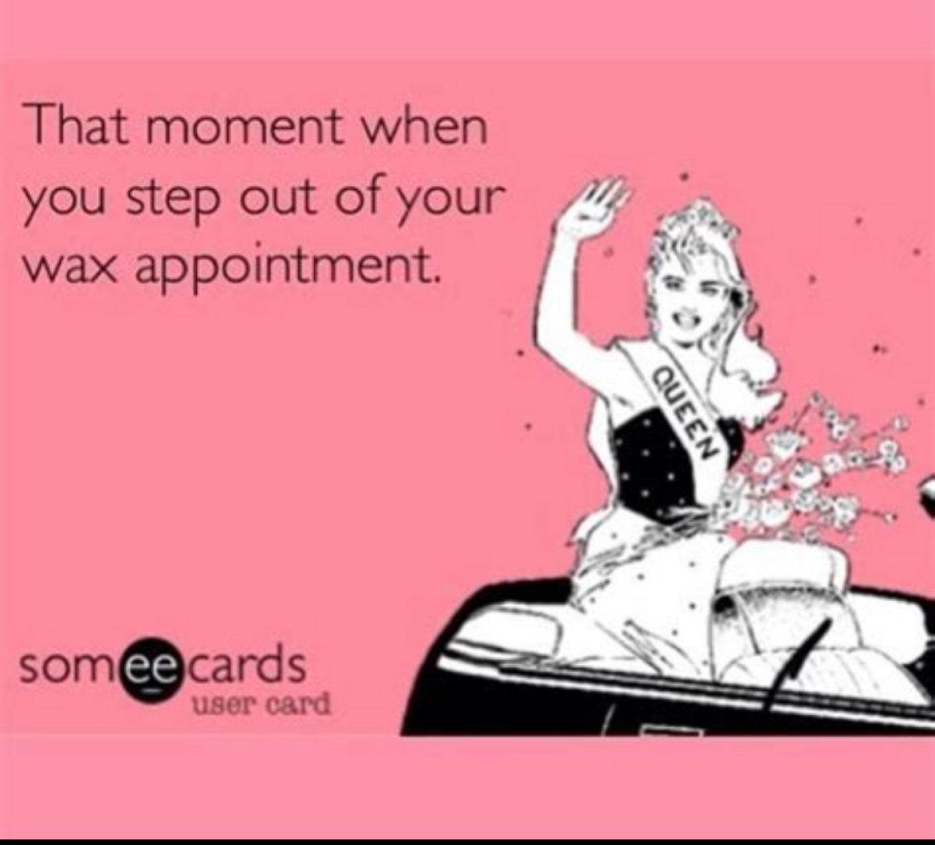 Wax Appointment Quote